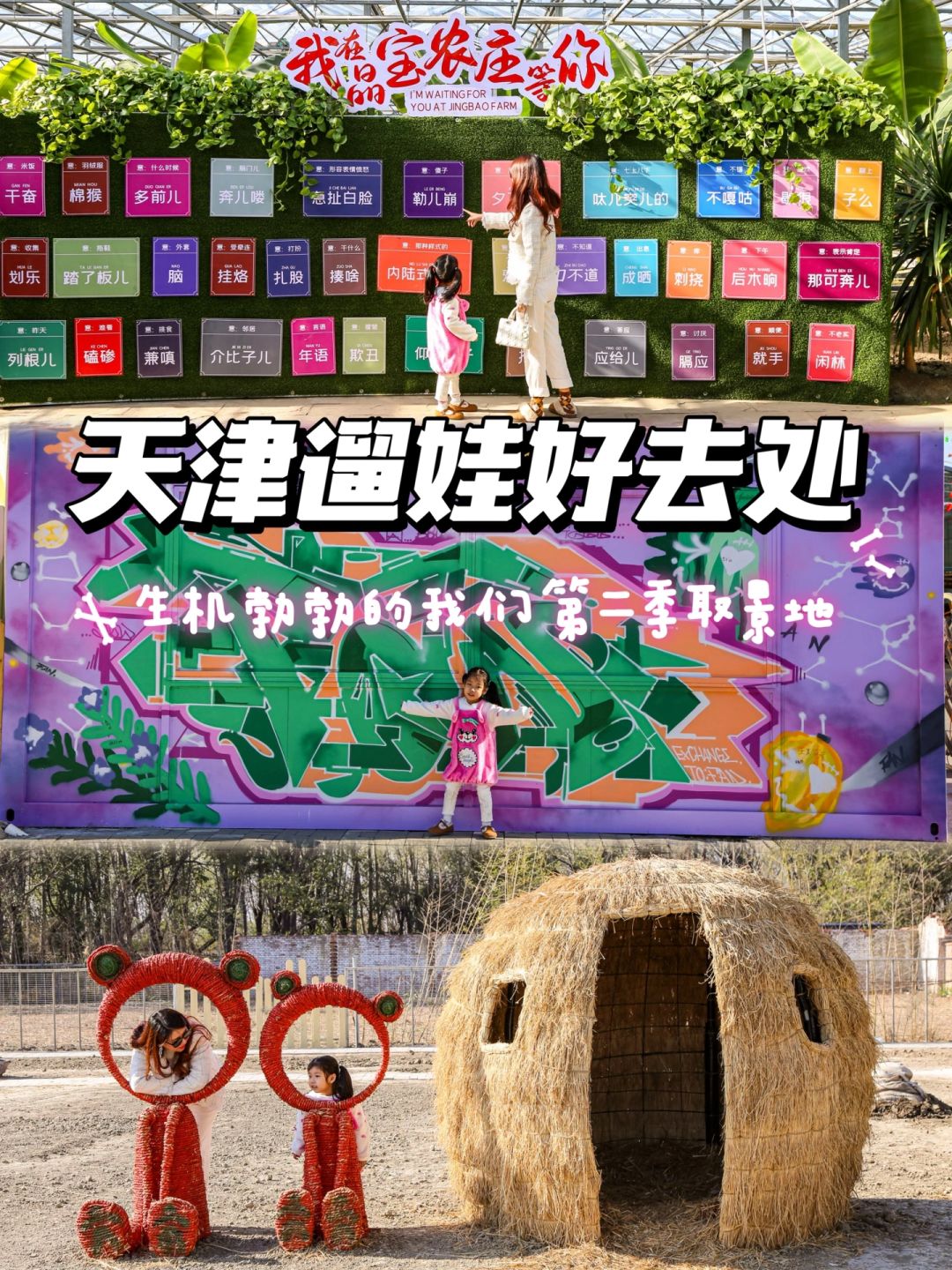 天津，带娃打卡综艺同款农庄，巨好玩！