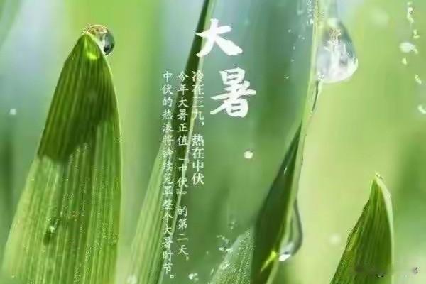 【十楼杂记】大暑
赤日炙穹苍，蝉鸣荷送香。
何以消烦暑，意静室生凉。