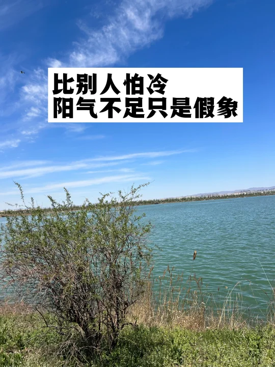 比别人怕冷，阳气不足只是假象.