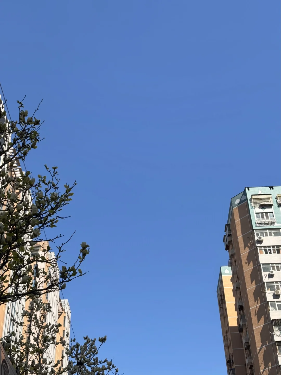 我发现男生对女生真心的喜欢一定是孔雀开屏