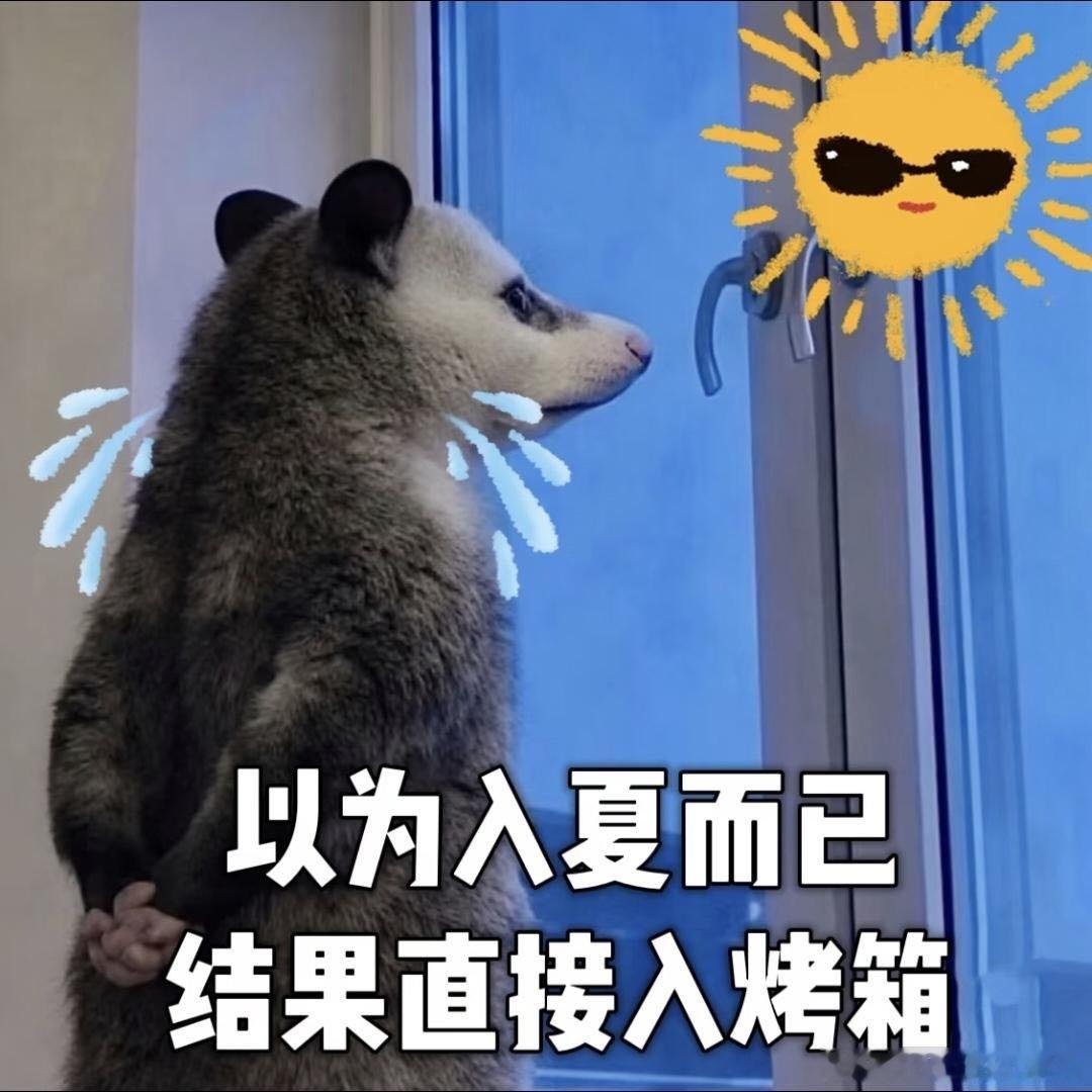 见识到三伏天的厉害了一到三伏室外像蒸笼一样，每次出门采购都一身黏腻，靠美团外卖点