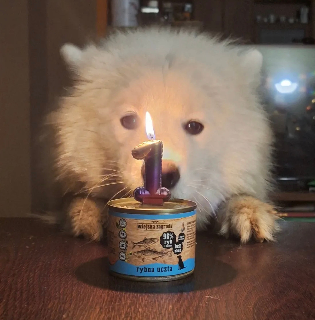 人，可以祝我生日快乐吗 