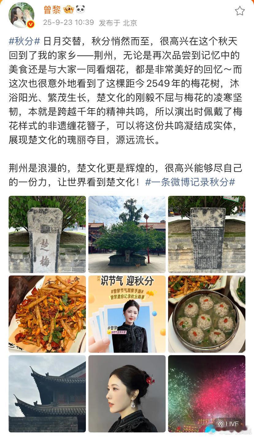 曾黎非遗缠花簪子 之前开幕式只顾着看姐姐了都没有注意到很多细节，原来当时头上戴的