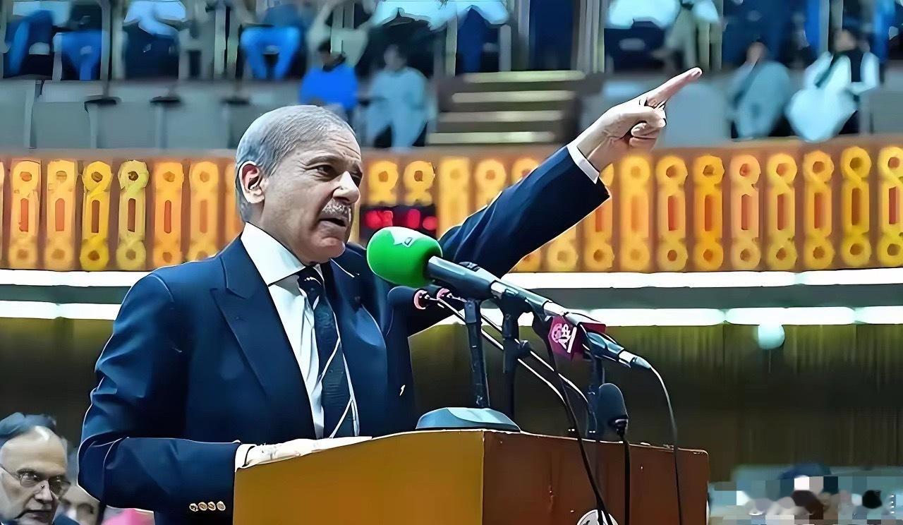 选择大于努力！巴基斯坦迎来史上高光时刻我一直都说，巴基斯坦这辈子做过最英明、最正