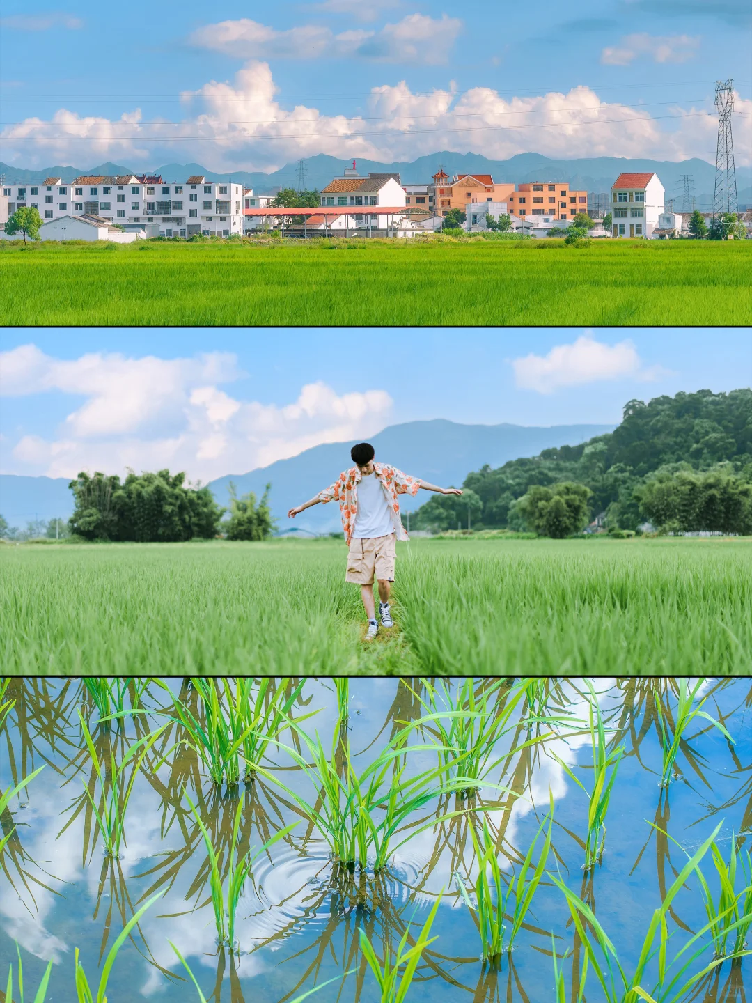 夏天快过完了，分享这个夏天拍到的横图