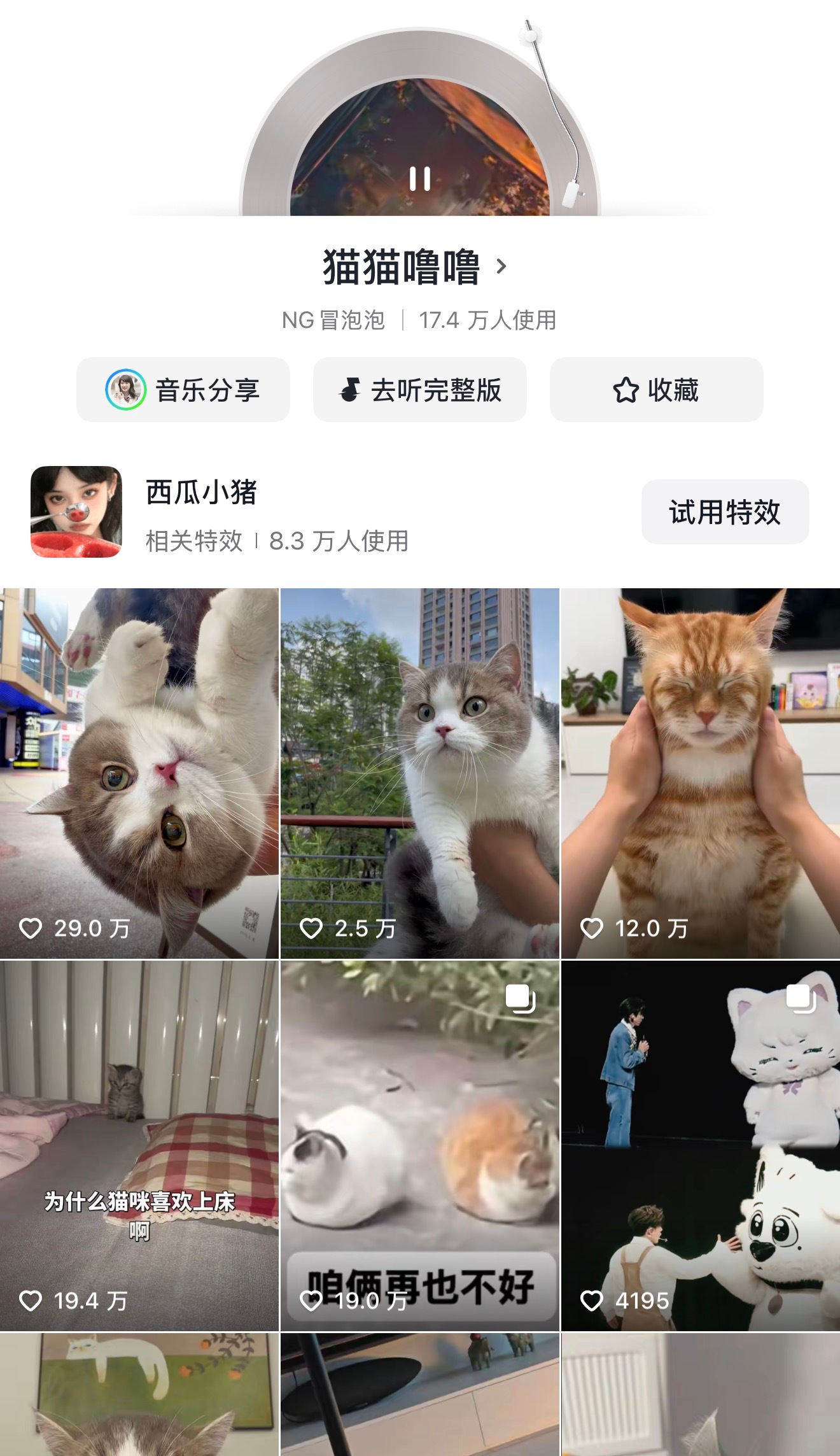 啊啊啊啊工作室视频BGM原来是猫猫，我空耳就是妈妈啊！我还想着这么大胆了 