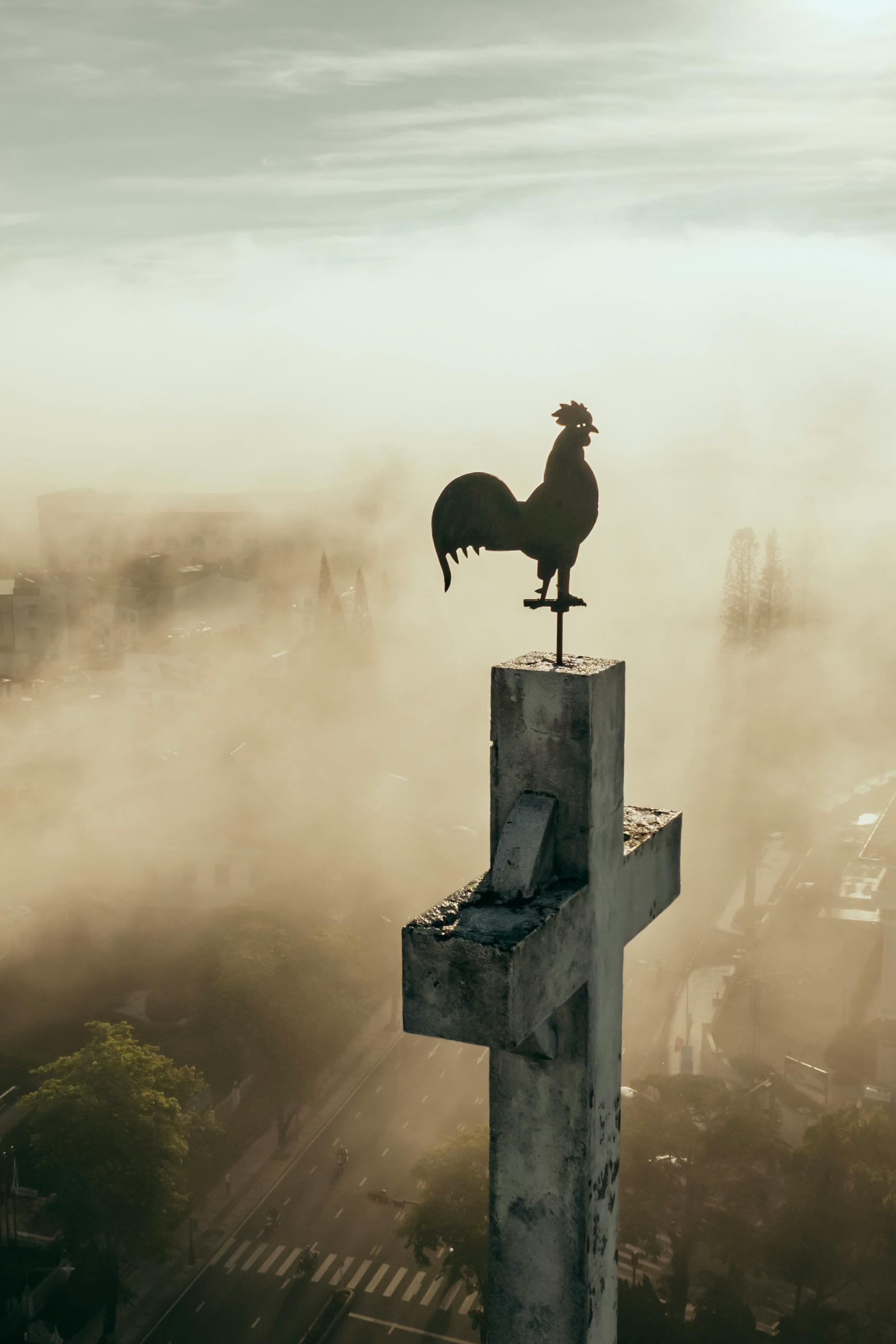 老规矩，睡前一更。明日甲辰  辛未  庚寅。走出了月破日的影响，明天的这个日课比
