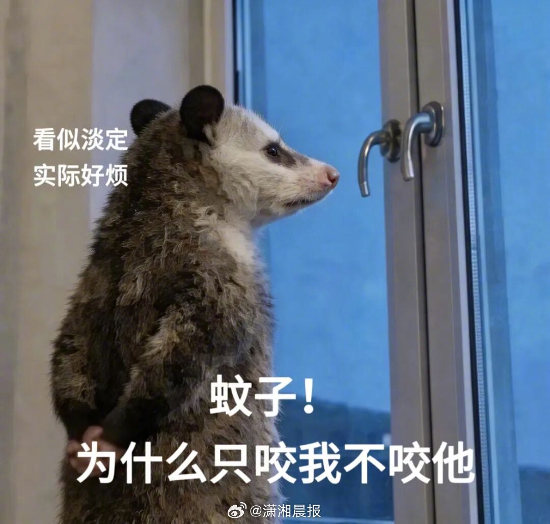 【#被蚊子咬了如何快速止痒#】炎炎夏日，气温高、雨水多，蚊子数量迅速增加，活动也