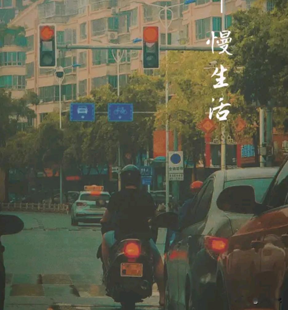 感恩是一种生活态度，更是治愈内心的良药。人生路上，父母给予陪伴，朋友给予温暖，陌