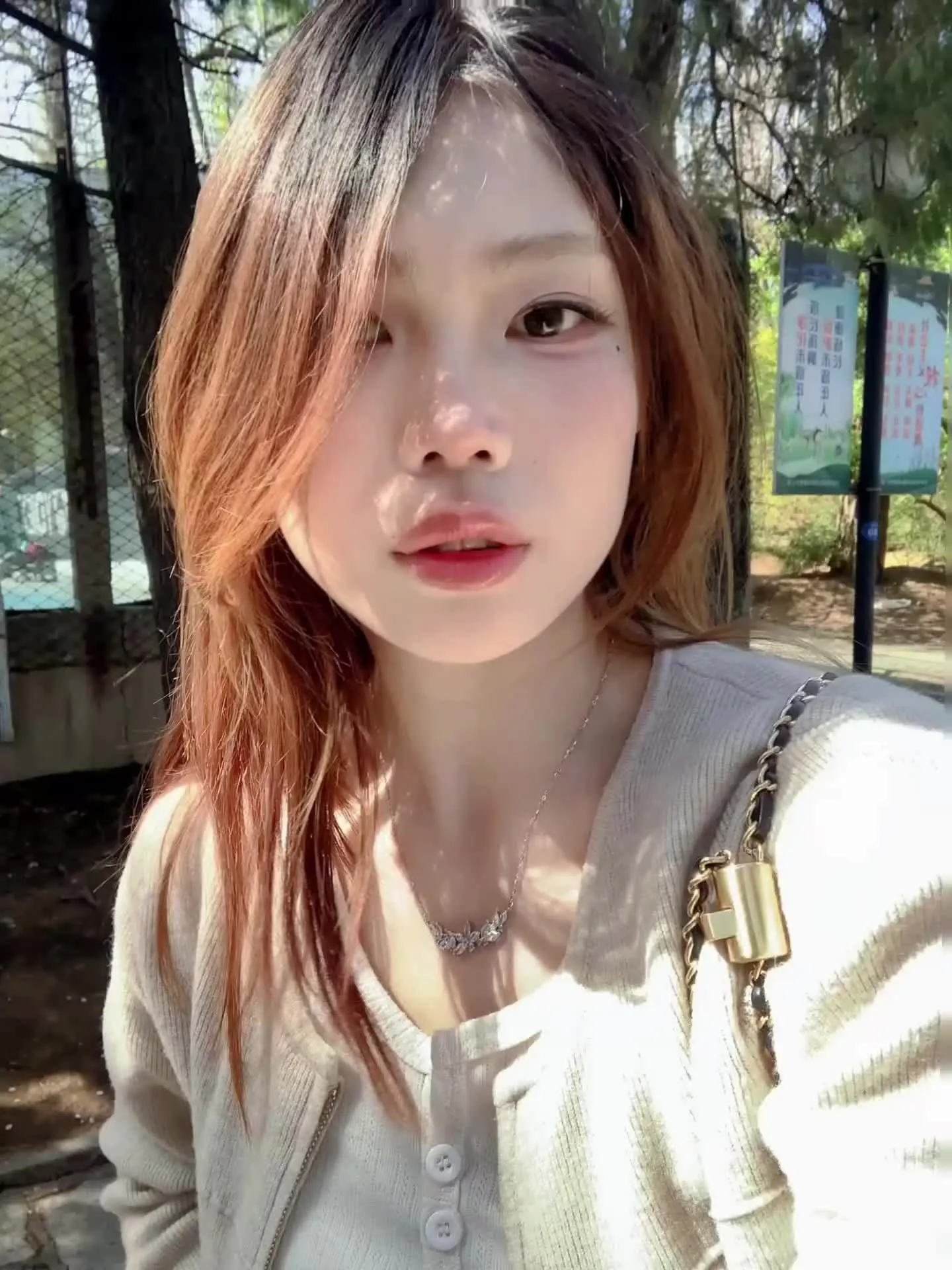 你说春天马上就会到来，我看着你的脸，我感觉春天从未离去
