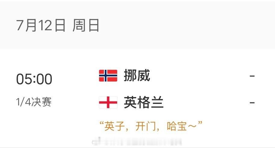 “英子、开门、哈宝～” 世界杯哈兰德贝林厄姆 （