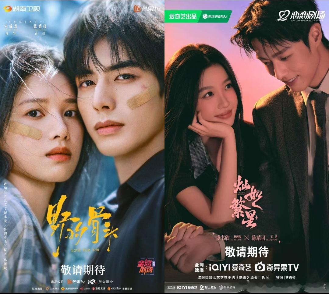 虞书欣《灿如繁星》与张婧仪《野狗骨头》两部剧作都是非常优秀为什么要两部现偶作品要