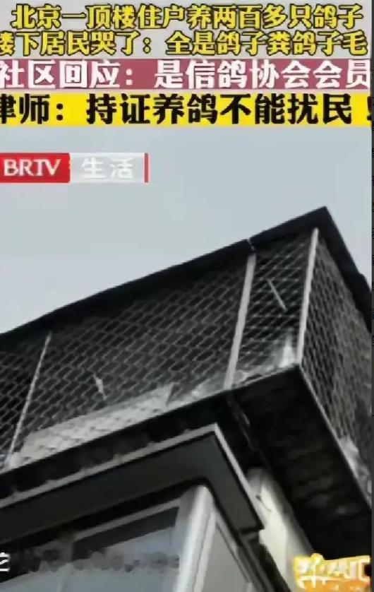 太缺德了。”北京一男子花235万元买套房子，结果楼上邻居养了200多只鸽子，他忍