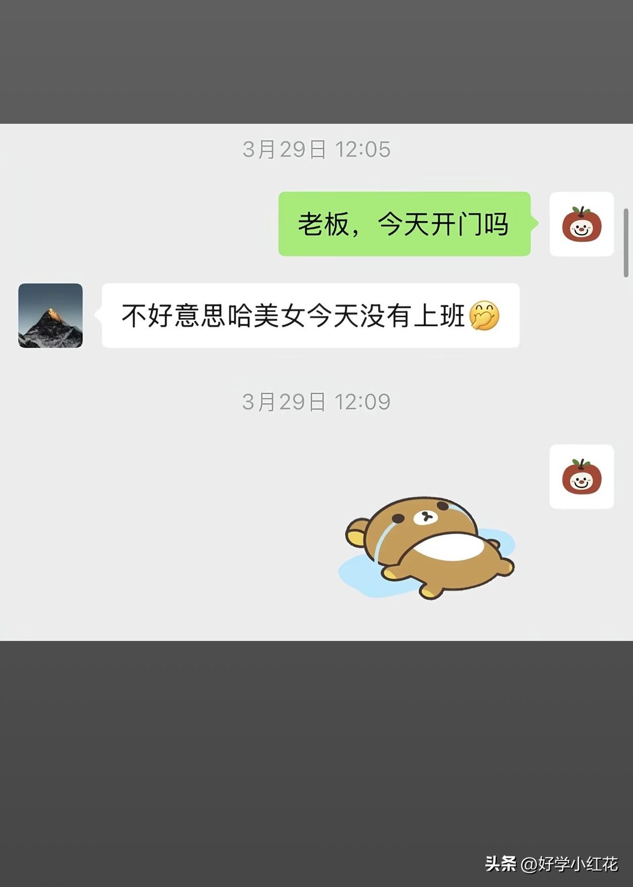 老板家的面到底有多好吃？[打脸][打脸][打脸]
