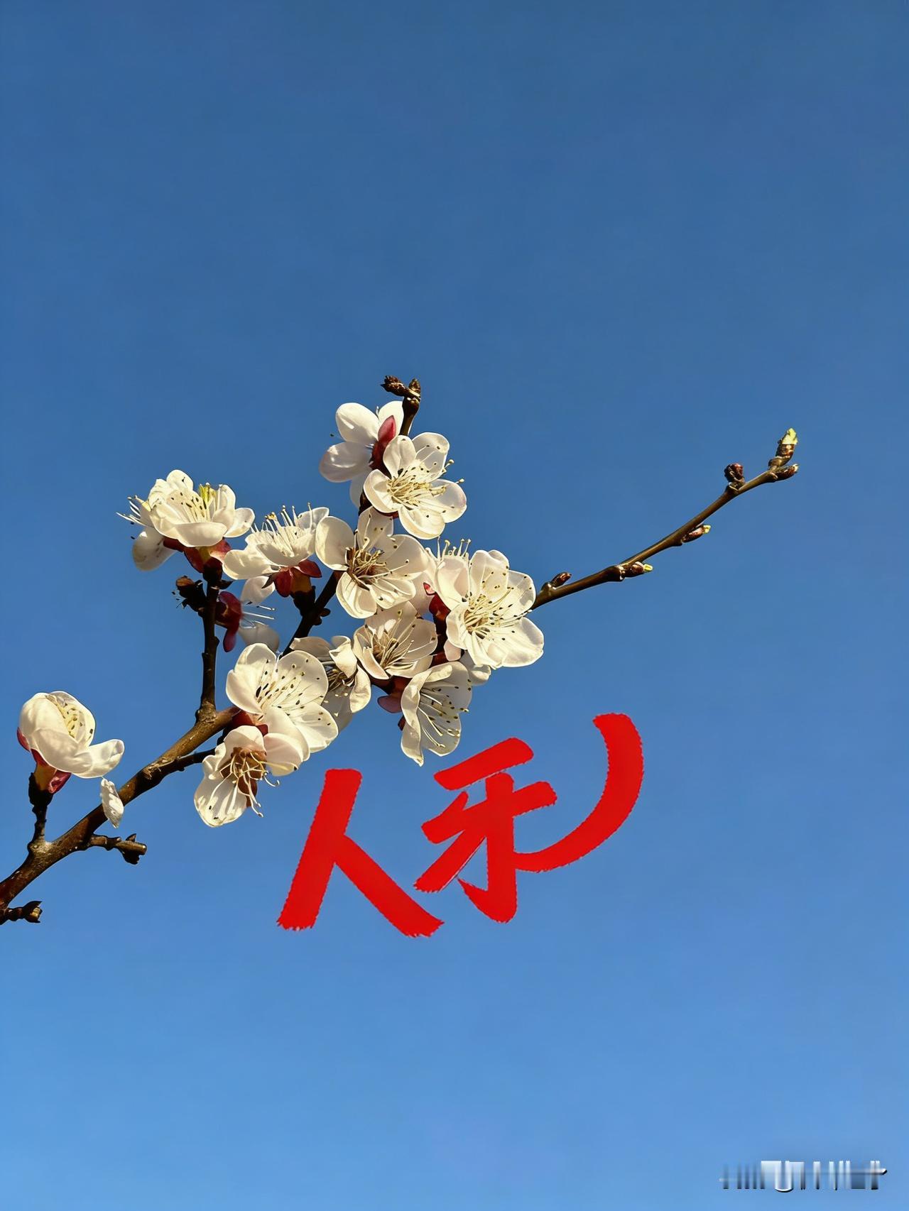 我们头顶上的这片天，主宰着天气的阴晴圆阙。也主宰着我们的命运。所以我们顺应他，也