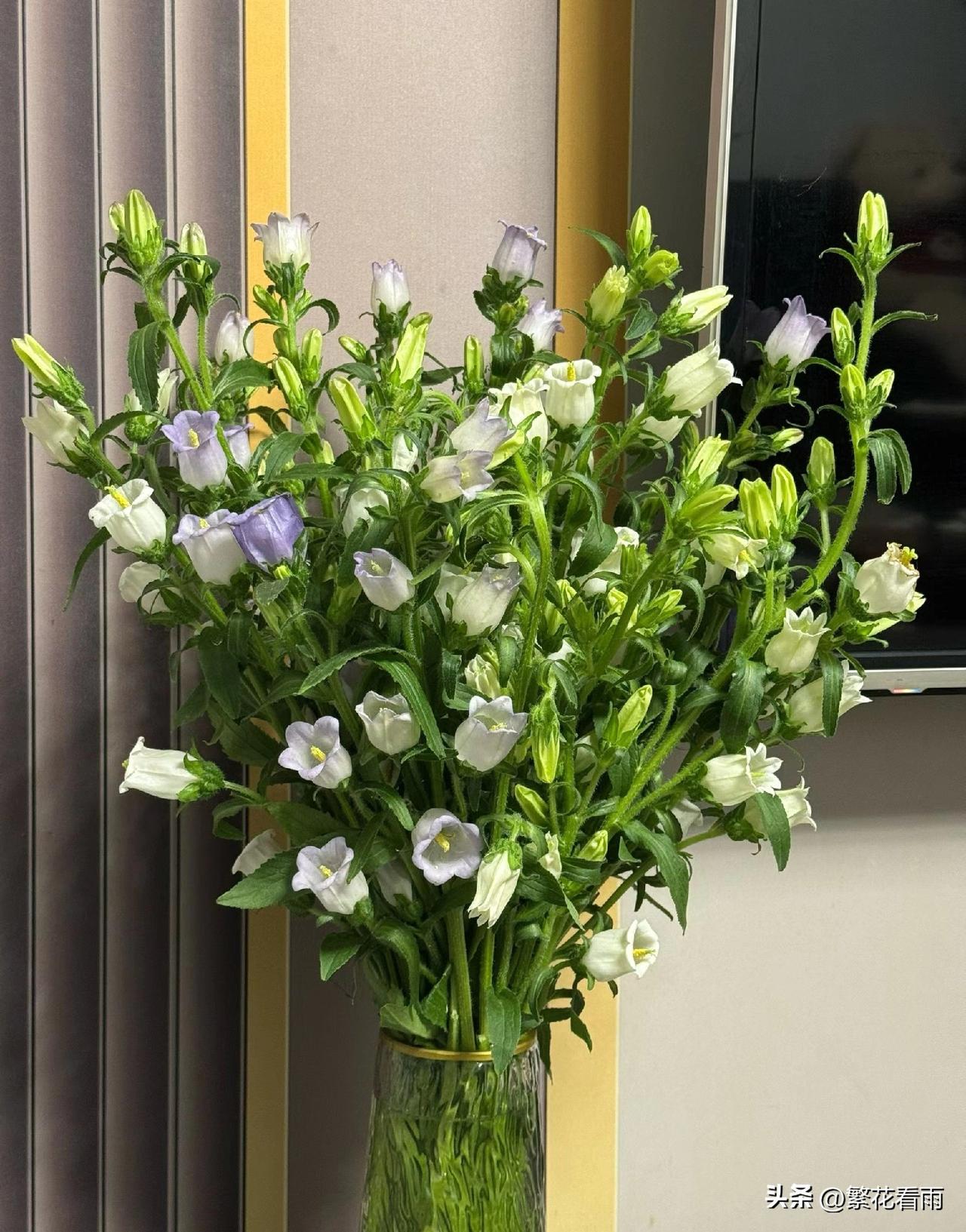 健康的身体是人生最大的财富，年轻时总挥霍健康换钱，等躺在病床上才懂它的珍贵。
