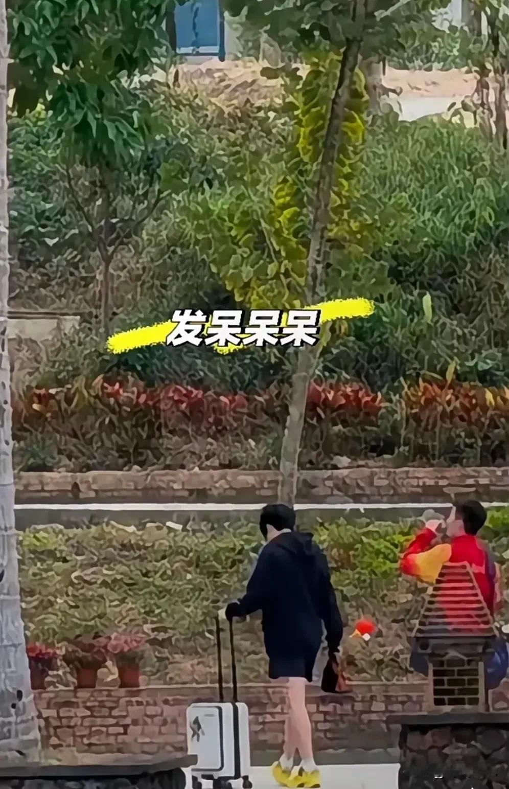 头哥又来争名分了：莎莎同款小黄鞋，竟然水灵灵的穿在了头哥脚上，这是不是妥妥的向那