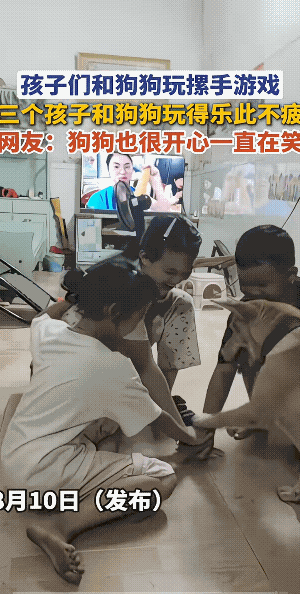 无忧无虑的笑声，好玩的游戏搭子。
这个狗狗聪明，它知道小孩们是跟他玩的。狗狗也很