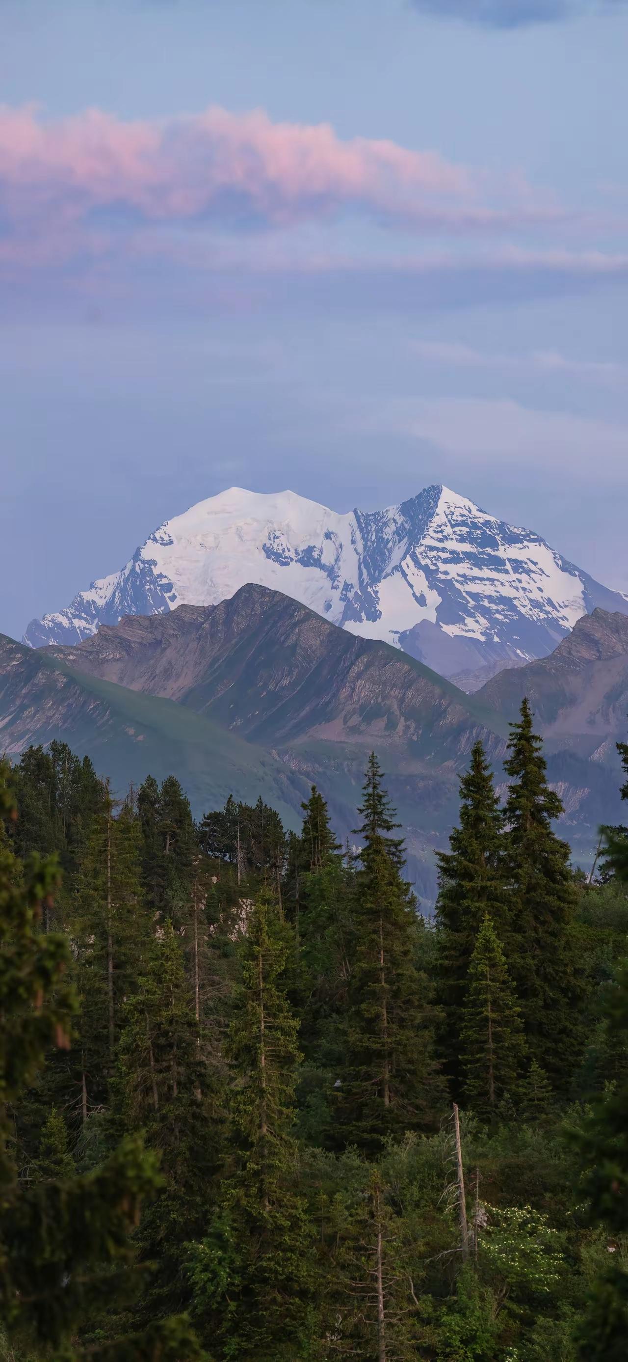 今年春天最想实现的心愿