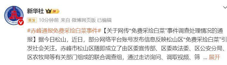 内蒙古赤峰市200亩白菜被免费采捡？调查结果来了，让人痛心的是红山晚报这家正规媒