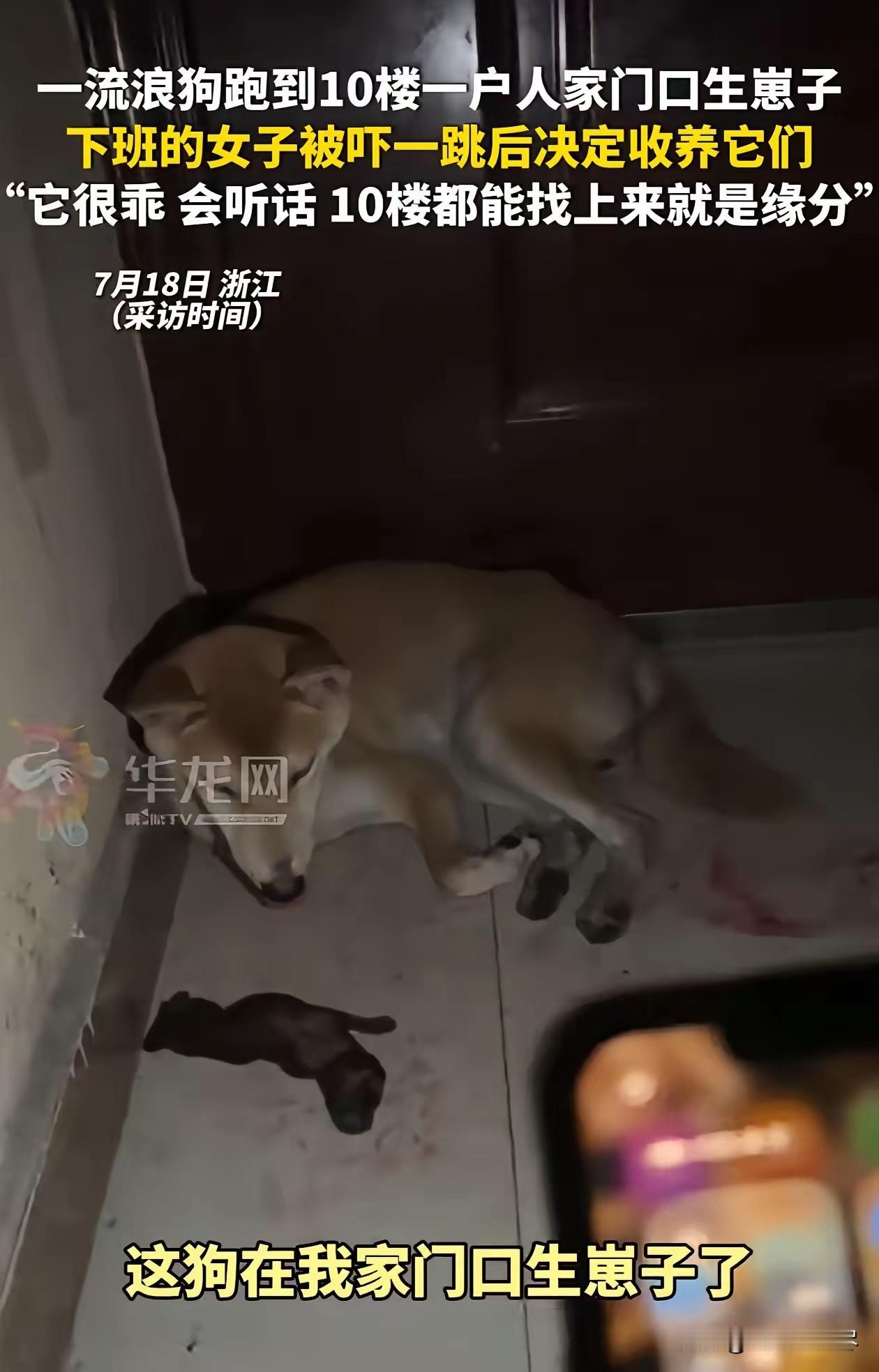 这就是缘分！浙江，家住十楼的女子下班回家，刚到门口就闻到一股血腥味，吓得她赶紧打