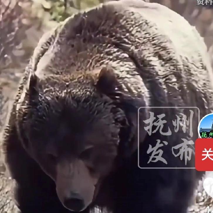 高科技成为违法犯罪的陷阱
这起案件的关键点不是00后违反犯罪，也不是造假币。而是