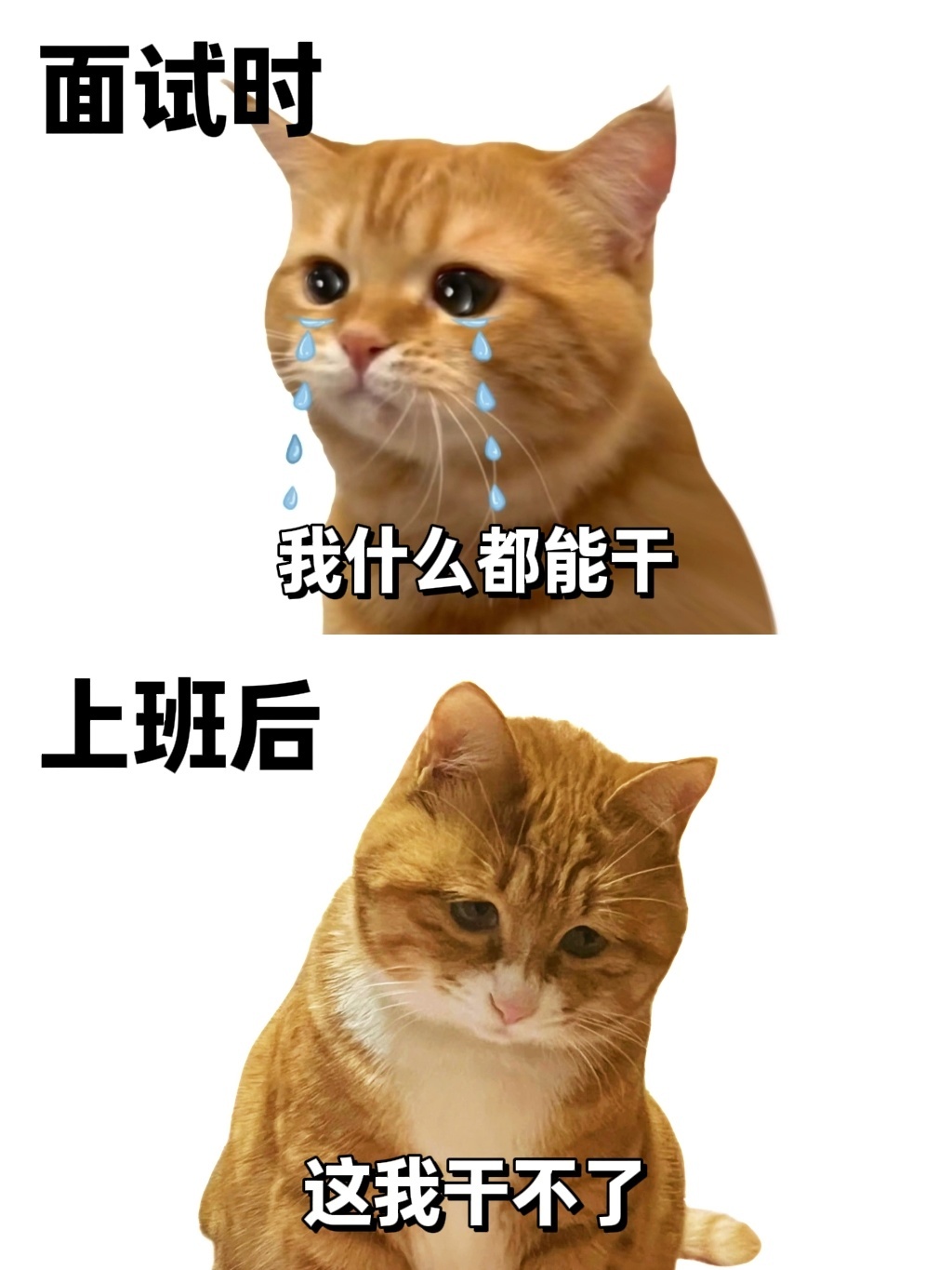 上班前VS上班后 ​​​