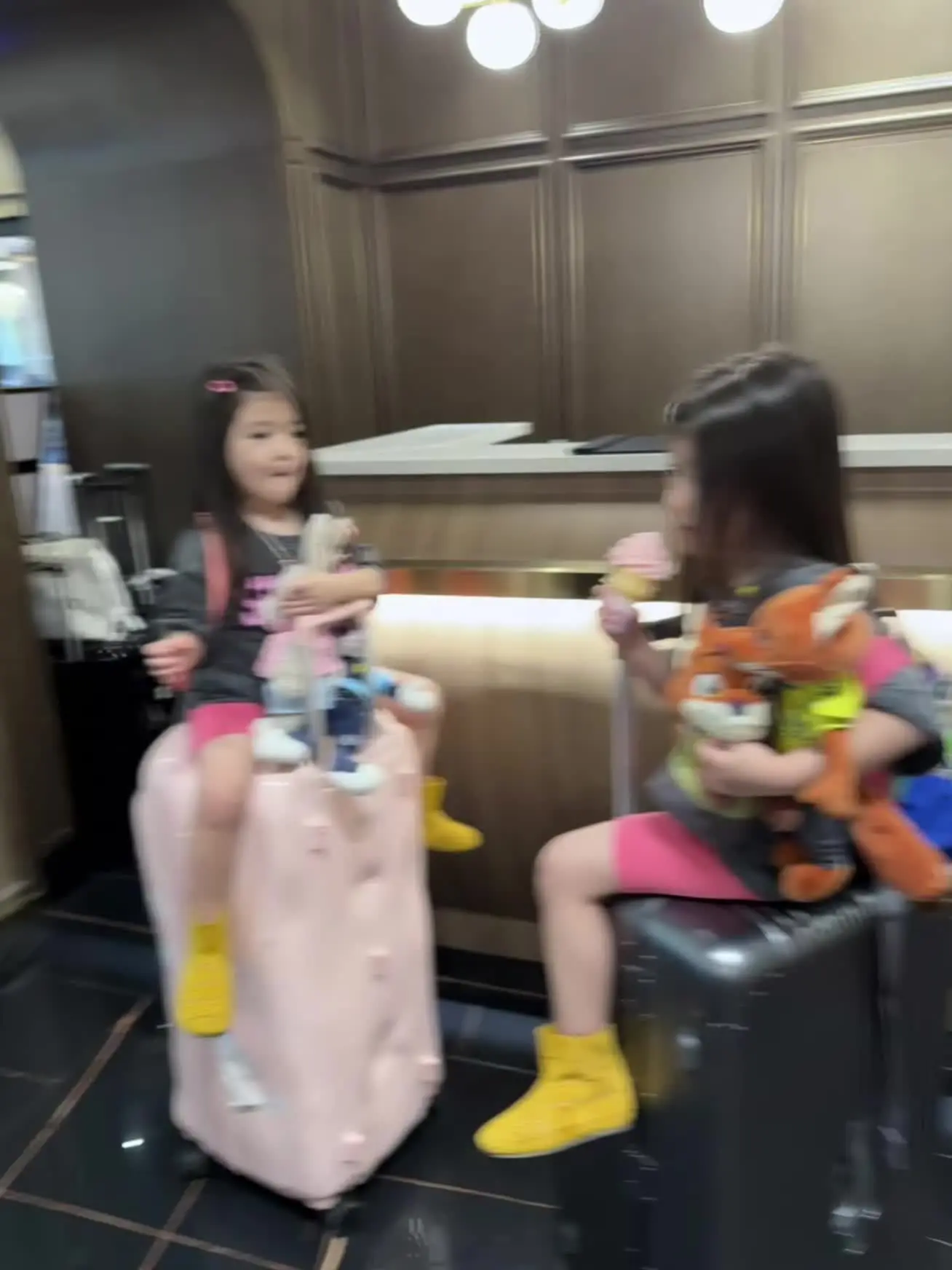双胞胎姐妹
