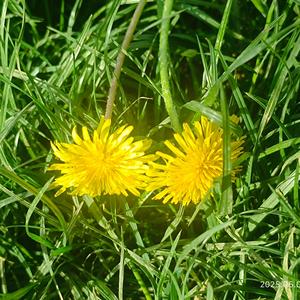 静静的笑看风云