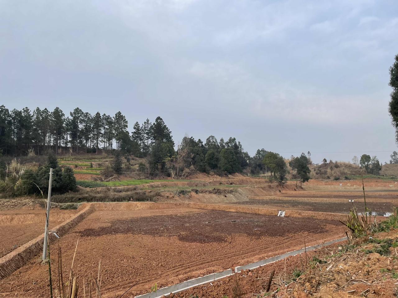 晒图笔记大赛现在的农村高标准农田如火如荼，但农民却成了旁观者！当你拒绝出租家庭承