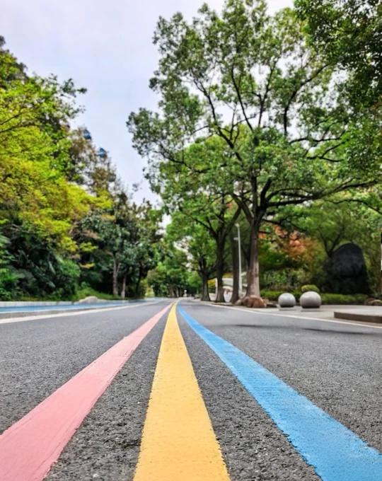 往前走！别回头！
冬至快乐 ～
往前走别回头 向前走就对了 bjyx