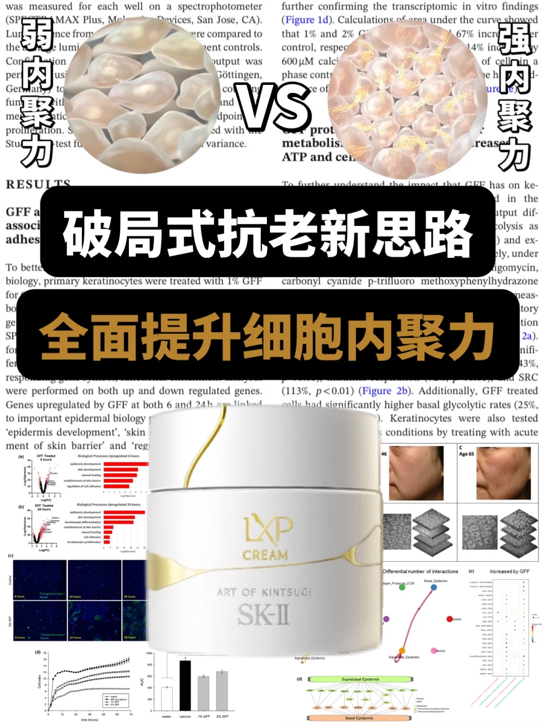 抗老 SK-II 的统治区！天花板级别的抗老思路