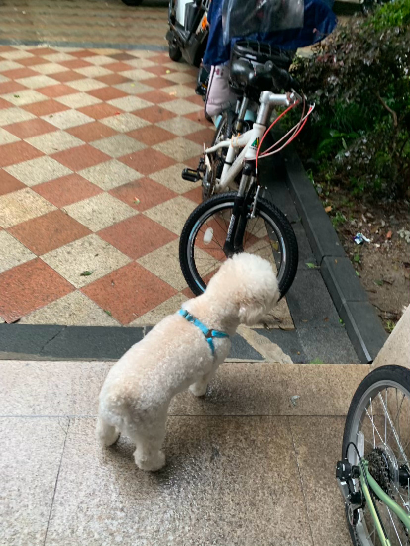 下雨烦恼 
