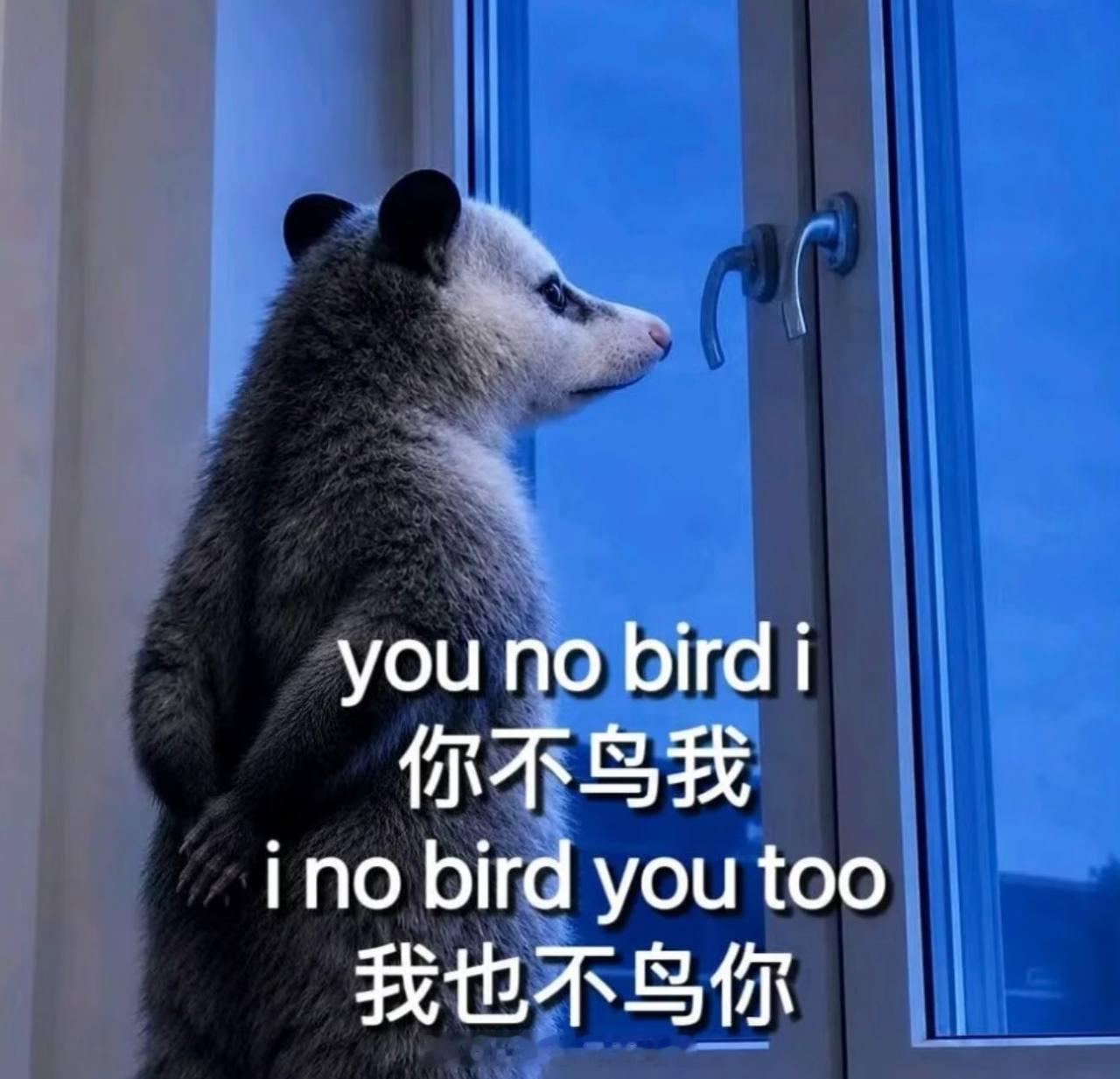近期这个红単就是，你不鸟我！我也不鸟你！ 