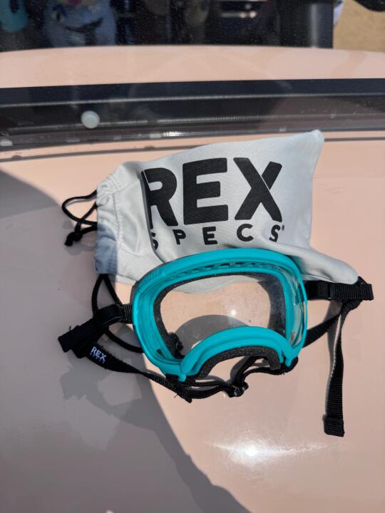 急急急 东莞松山湖有人捡到护目镜吗