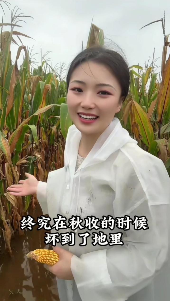 山东农村女孩麦子。