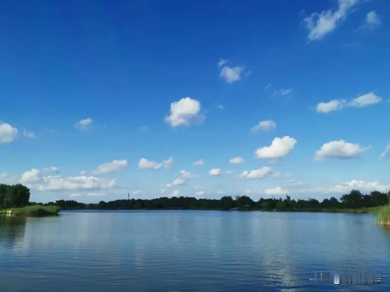 山东宁阳洸河湿地公园