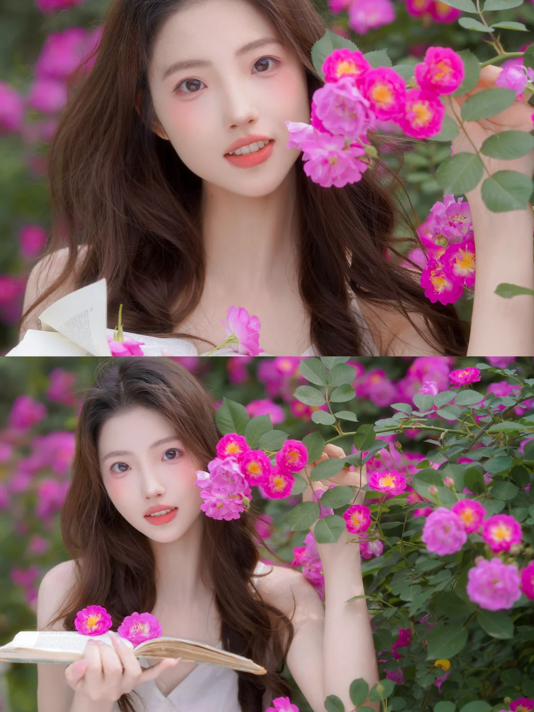 存一些 i 人小幅度蔷薇花拍照姿势🌸