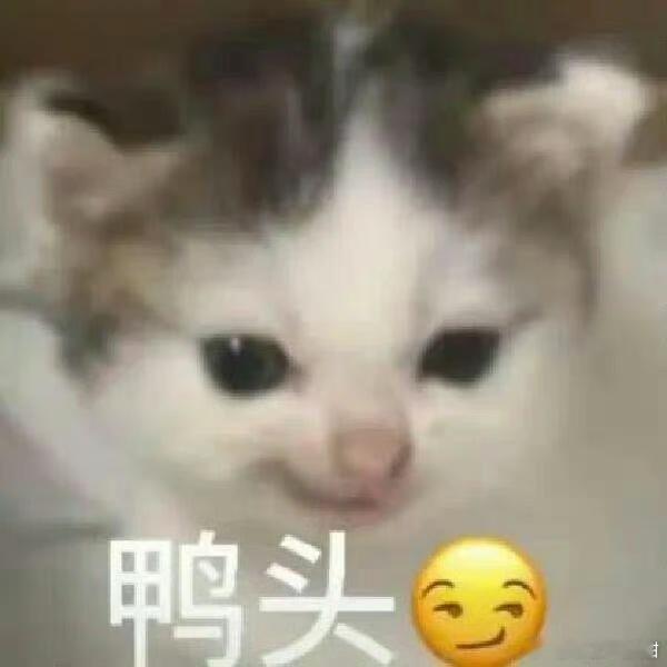 征集一波强推的🍅言情文！！！ ​​​