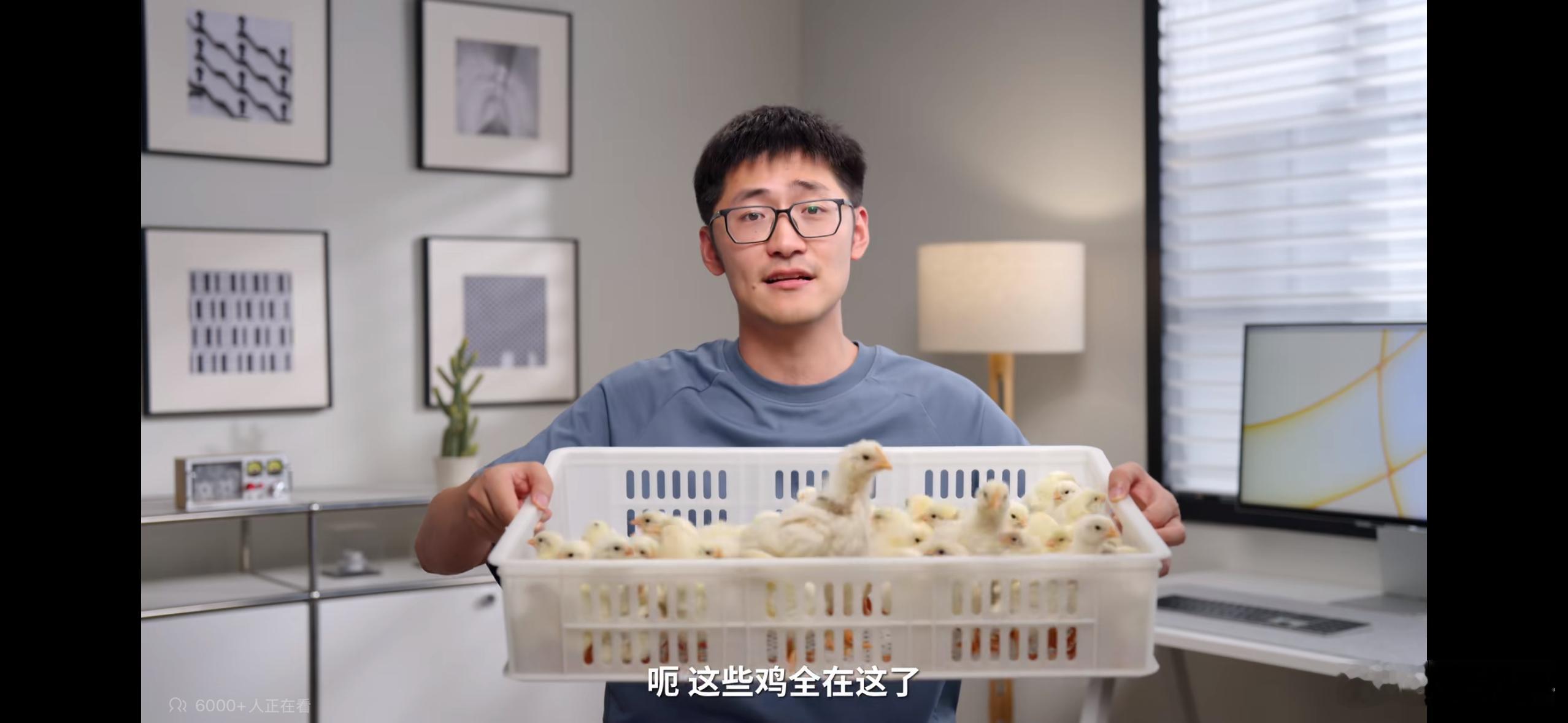 影视飓风拍摄鸡蛋21天孵化全过程，节目做完，多了一框小鸡仔。他们还给这些鸡宝宝起