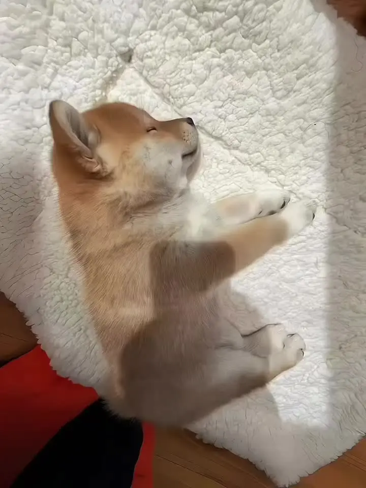 你在 幸福就在 ੯‧̀͡⬮\