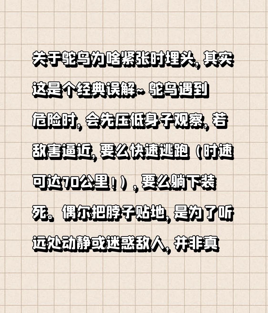 山东的有道理56网友说:你知道鸵鸟在紧张的时候为什么要把头埋进沙子里？


您这