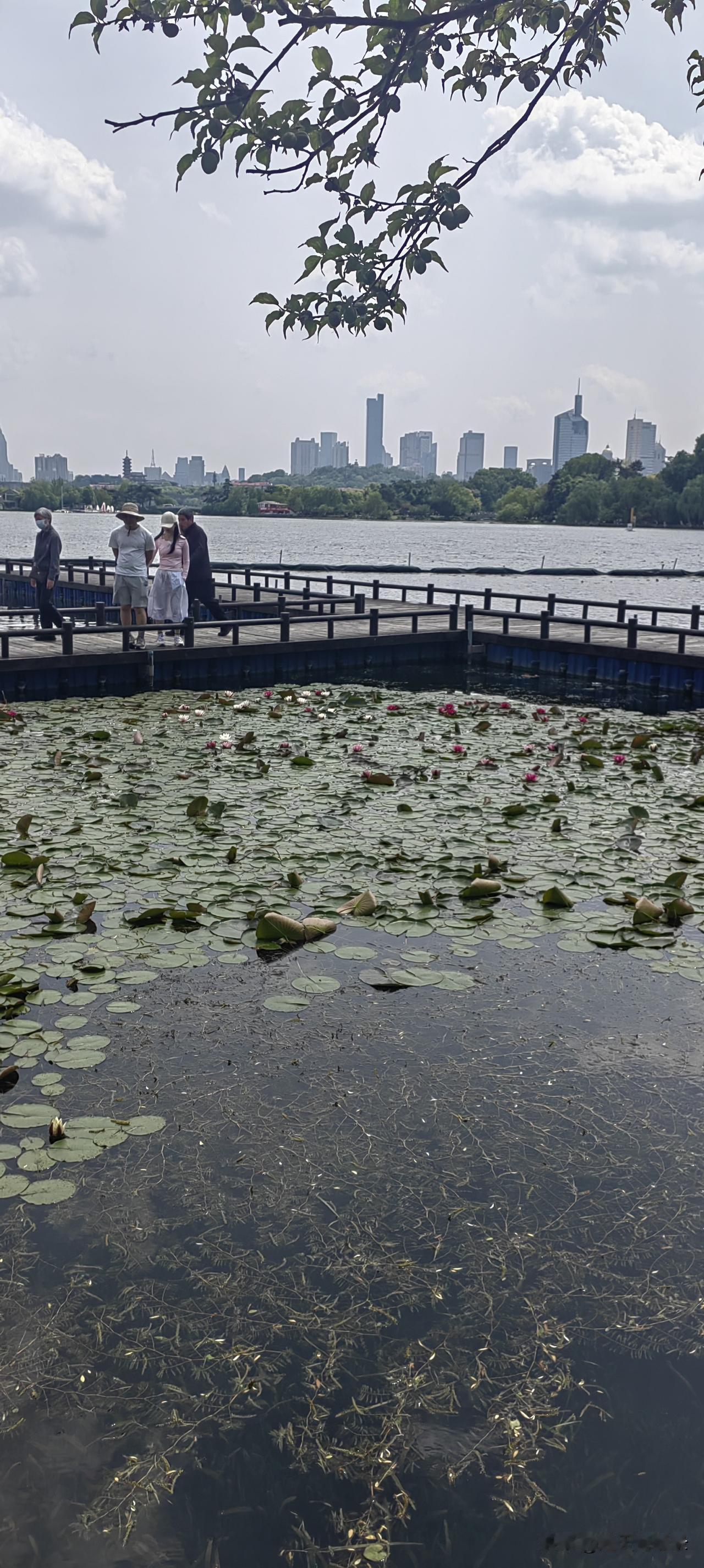 可谓大丈夫，孟子说:居天下之广居，立天下之正位，行天下之大道。得道，与民由之，不