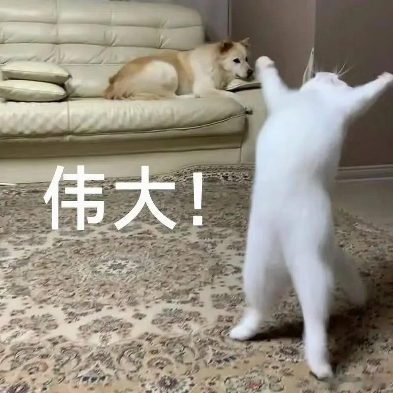 中国无人车首次进入中亚 以后去哈萨克斯坦旅游，说不定能打到咱中国的无人车😂 中