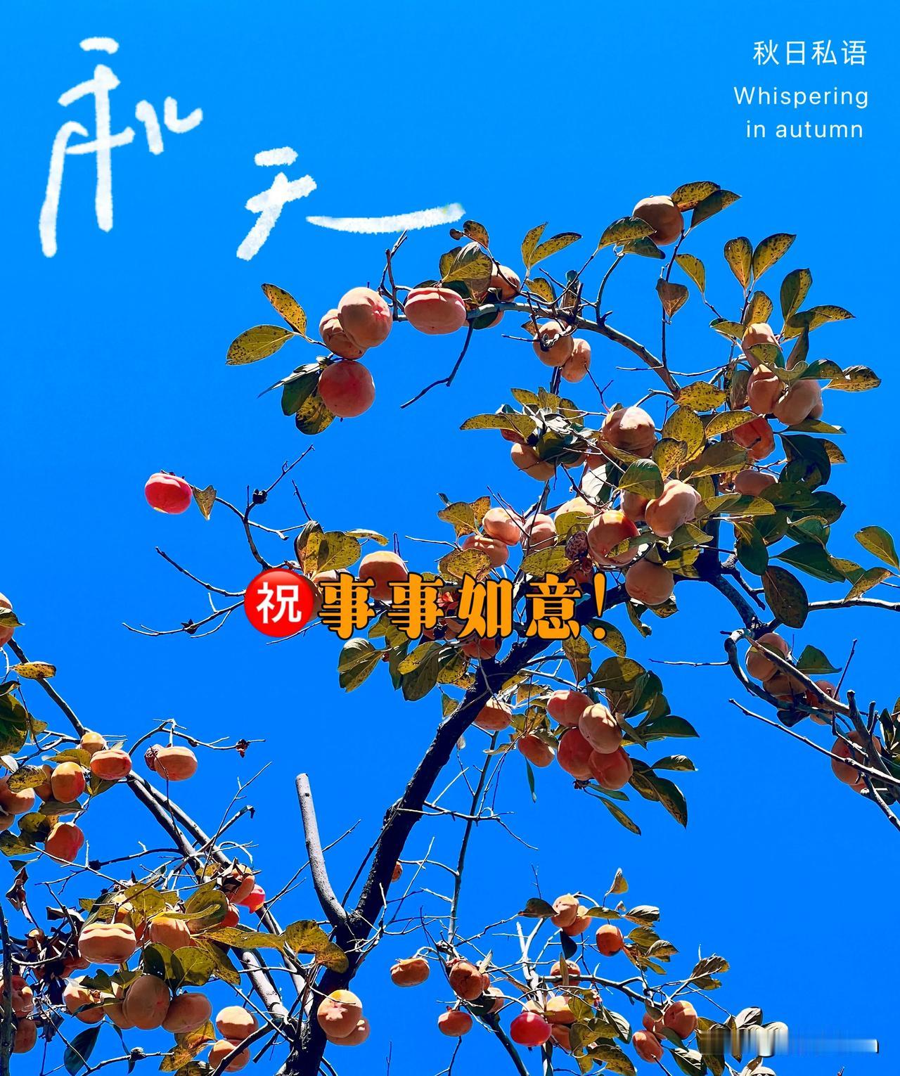 如果秋天有心情，
她就是满心欢喜；[呲牙]
如果秋天是首歌，
她就是爱在深秋！[