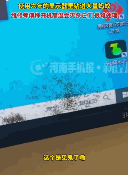 不可思议！云南，一女子使用电脑时，发现蚂蚁不断钻进显示屏。仔细观察后，她才意识到