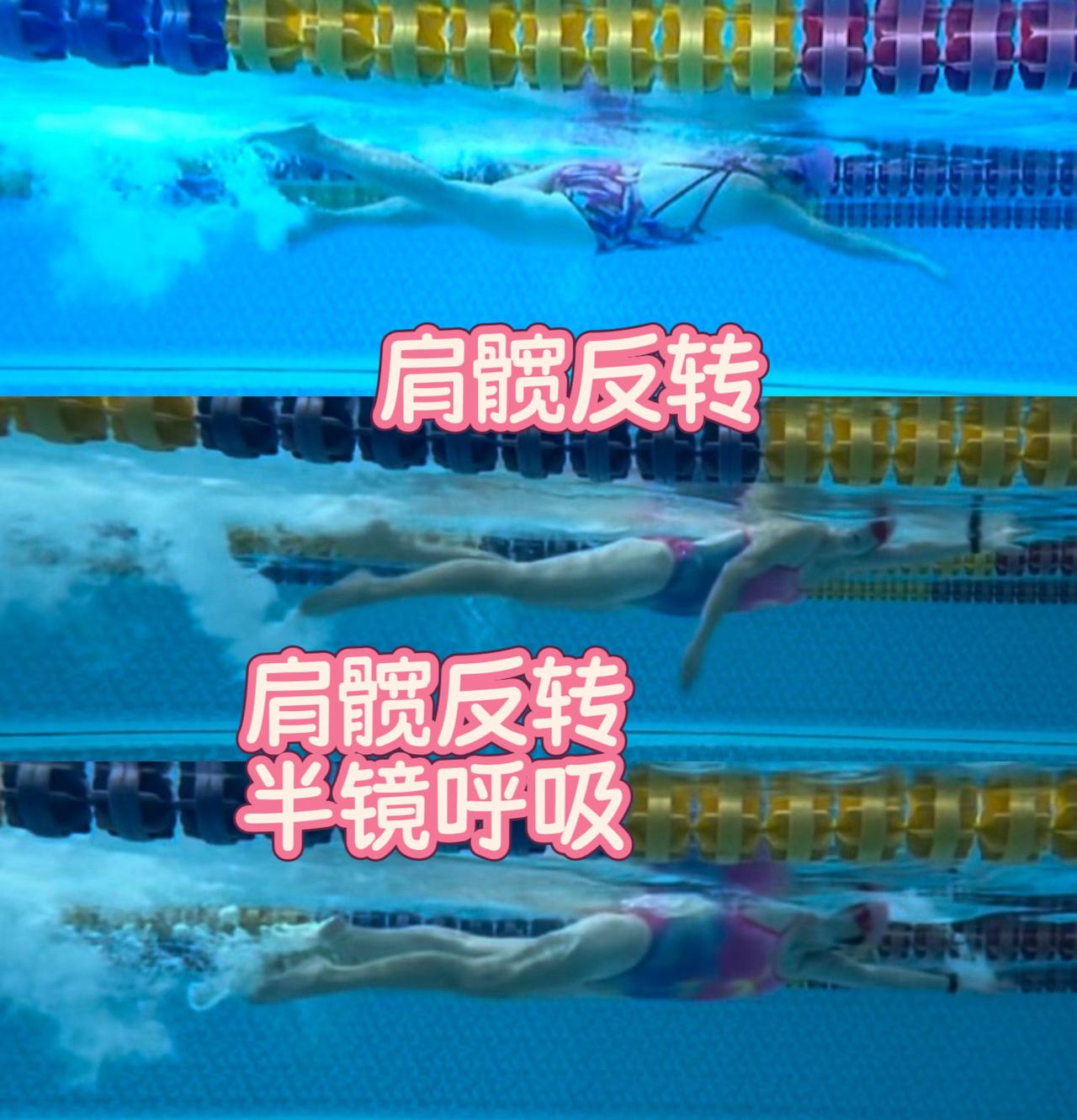 肩髋反转
半镜呼吸。核心力强，转髋鞭腿。