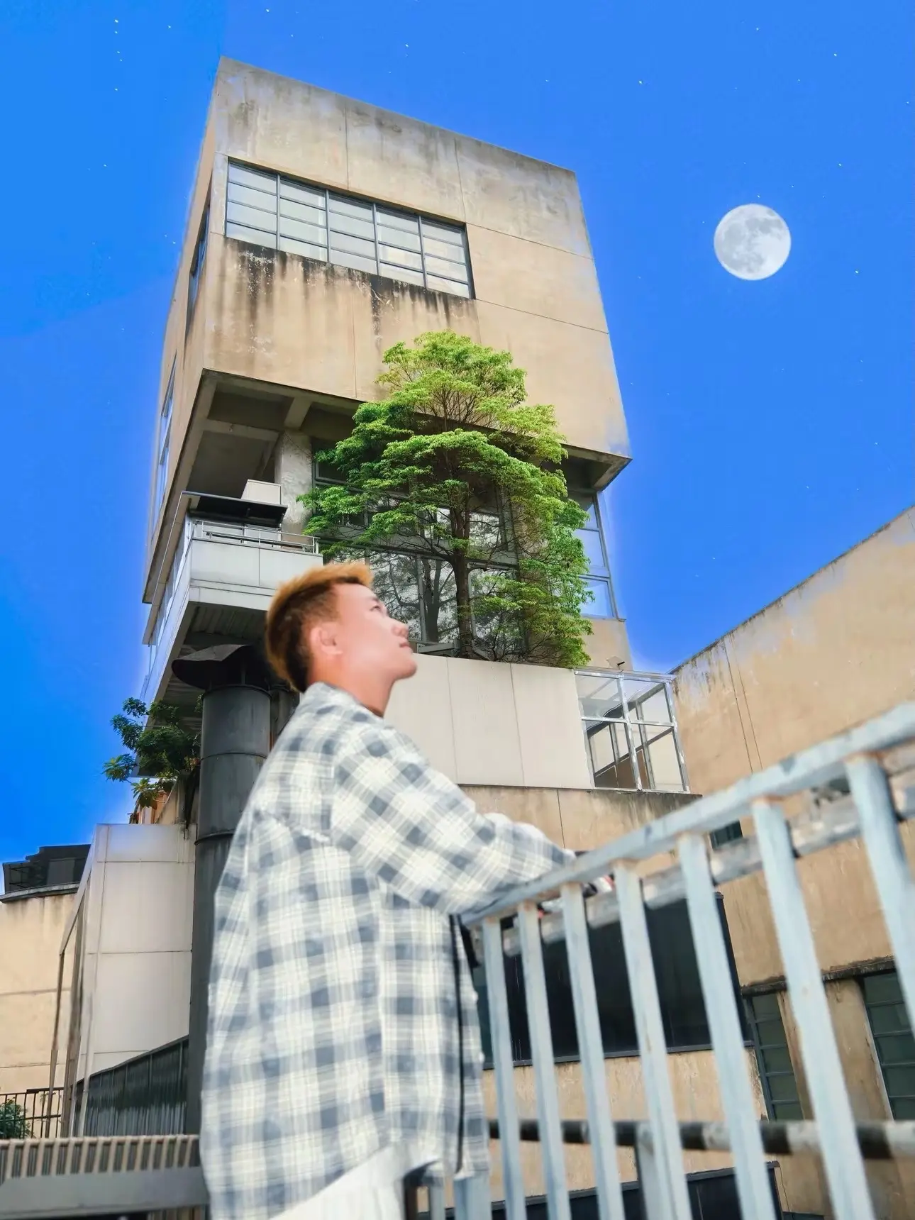 成都最孤独的树🌳浪漫的城市“代名词”！！！来成都旅游别错过这个拍照打...