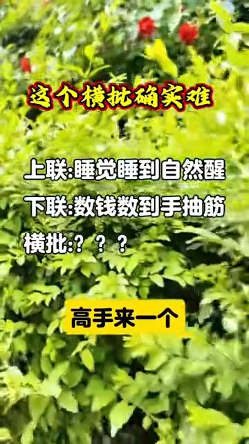 这个横批确实难。上联：睡觉睡到自然醒。下联：数钱数到手抽筋。横批：？？？高手来一