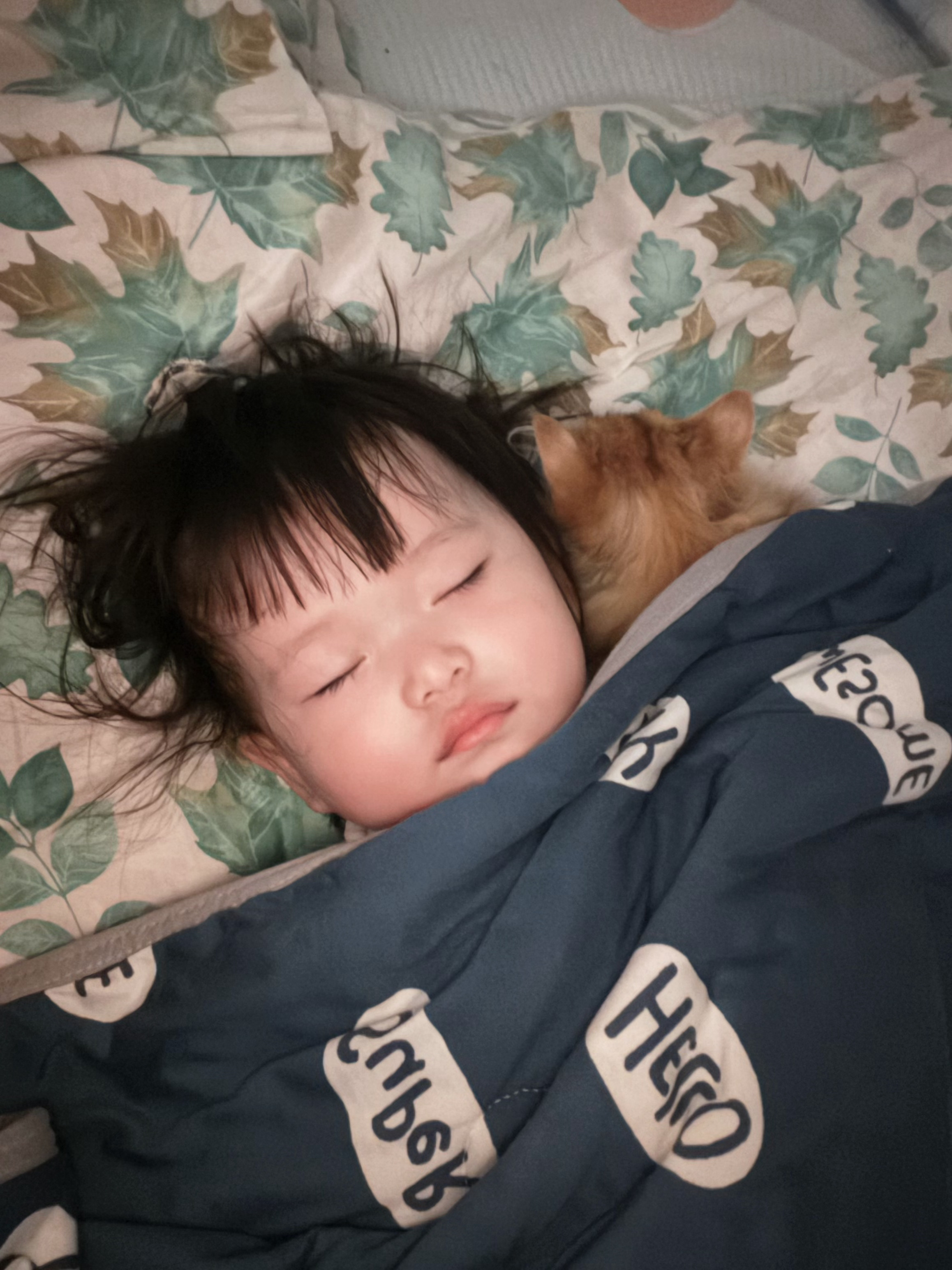晚安 全世界最幸福的小宝宝驾到